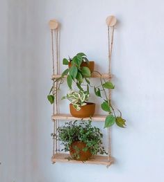 three wooden shelves with plants on them against a white wall in the corner, hanging from ropes