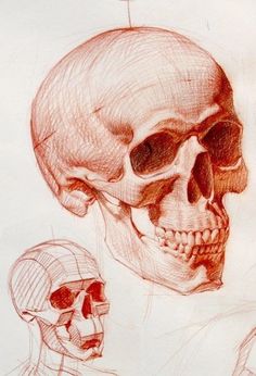 a drawing of two human heads and one skull