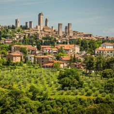 the city is surrounded by lush green trees and buildings on top of a hill in the distance