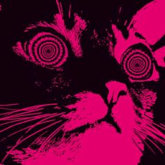 a black and pink cat with red circles on it's eyes