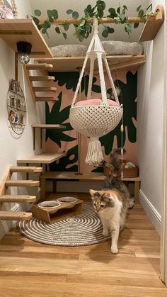 a cat walking up the stairs in a room with a hammock hanging from it's ceiling