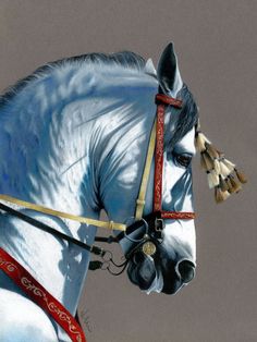 a painting of a white horse wearing a bridle