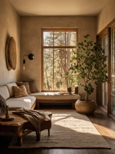 a living room filled with furniture and a potted plant on top of a table