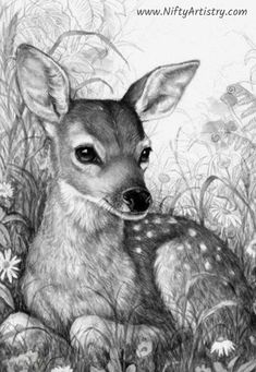 a pencil drawing of a baby deer laying in the grass with daisies around it