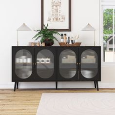 a black cabinet with three glass doors and a potted plant in front of it