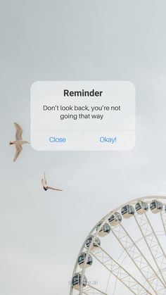 a bird flying over a ferris wheel with the caption reminder don't look back, you're not going that way