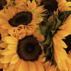 a bunch of sunflowers that are yellow in color