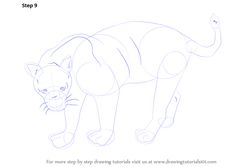 how to draw a cat step 8