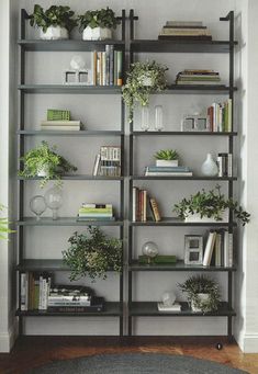 a bookshelf filled with lots of different types of plants on top of it