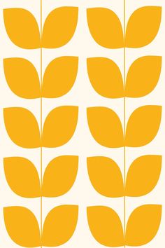 yellow leaves are arranged in rows on a white background, with one green leaf at the center