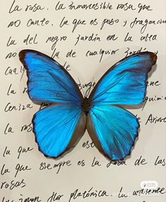 a blue butterfly sitting on top of a piece of paper with writing in the background