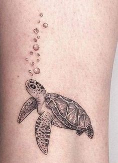 Small Tattoos Turtle, Tattoos Turtle, Hai Tattoo, Bubble Tattoo, Tato Maori