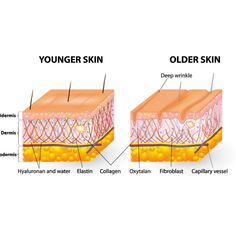 https://hotricosmetics.com/collagen-structure-and-benefits-for-skin-health/ Collagen is a structural protein that serves as a fundamental building block in the skin, providing it with strength, elasticity, and resilience. Comprising approximately 75-80% of the dermis, collagen plays a critical role in maintaining skin integrity and youthful appearance. In this article, we delve into the chemical structure of collagen and explore its myriad benefits for skin health. #collagenpeptides #skincare Collagen For Skin, Esthetician Business, Medical Marketing, Skin Advice, Chemical Structure, Good Skin Tips, Younger Skin, Deep Wrinkles, Collagen Peptides