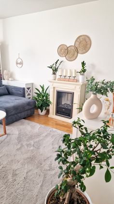 a living room filled with furniture and a fire place next to a plant on top of a rug