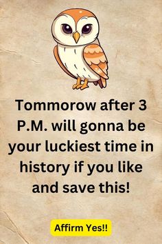 an owl with the words tomorrow after 3 pm will gonna be your luckest time in history if you like and save this