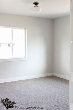 an empty room with white walls and carpeting in the foreground is a window