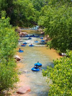 several people in blue rafts are floating down a river