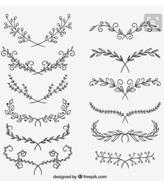 a set of hand drawn floral design elements