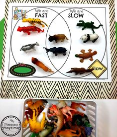 a tray filled with different types of toy animals and words that spell out the word fast