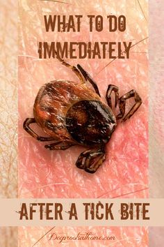 a tick bite on the skin of someone's arm with text that reads, what to do immediately after a tick bite