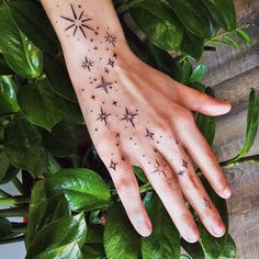 a woman's hand with stars on it and green leaves around her, next to a potted plant