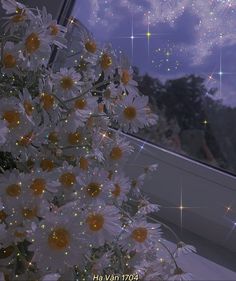 white daisies in front of a window at night with stars and sparkles on the windowsill