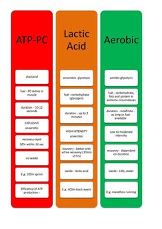 three different types of aeroic labels with the words atp - pc and lactic acid