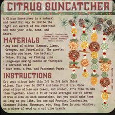 an old recipe for citrus suncather