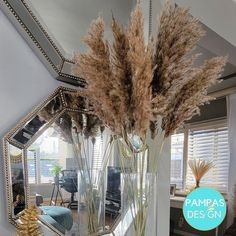 some dried plants in a glass vase on a table with a mirror behind it and the words pampas des gn