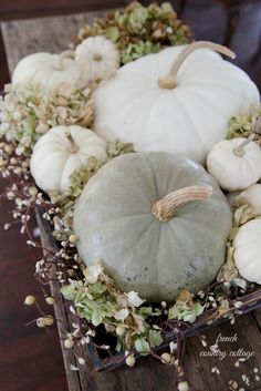 a bunch of white pumpkins sitting on top of a wooden table