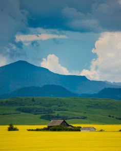 a farm in the distance with mountains in the background and yellow flowers on the foreground