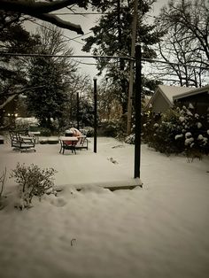 a snow covered yard with benches and trees