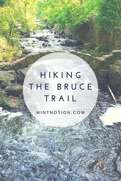 a river running through a lush green forest with the words hiking the bruce trail above it