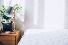 a bed with a plant on top of it next to a nightstand and window sill