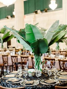 there is a table set up with place settings and green plants in the centerpieces