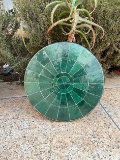 a green plate sitting on top of a stone floor next to a potted plant