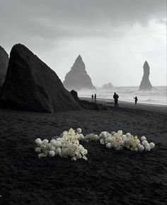 some white flowers are on the sand near rocks and water with people in the background