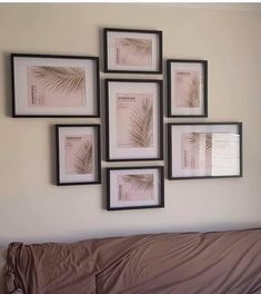 six framed pictures hang on the wall above a couch in front of a brown blanket