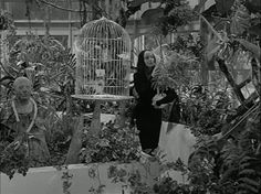 a woman standing next to a birdcage in a garden filled with potted plants