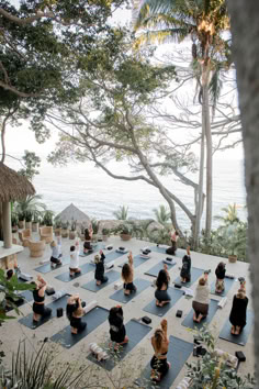 a large group of people doing yoga outdoors