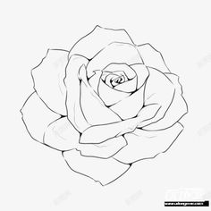 a black and white drawing of a rose on a white background with the words, how to draw a rose