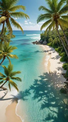 the beach is surrounded by palm trees and blue water