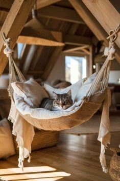 a cat laying in a hammock on top of a wooden floor next to pillows