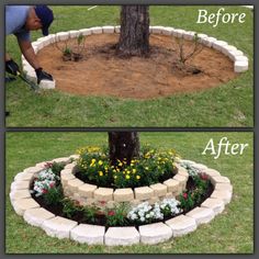 the before and after pictures show how to make a flower bed around a tree