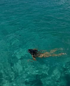 a man swimming in the ocean with his back to the camera