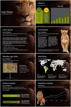 the lion is shown in this info sheet