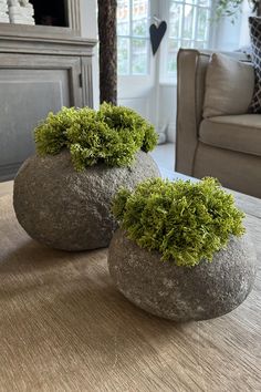 two rocks with moss growing on them sitting on a table in front of a couch