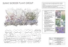 an image of a garden plan with plants and flowers in the center, along with information on how to plant them