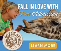 a girl feeding a giraffe with her hand and the caption fall in love with free admission learn more