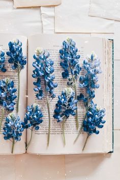 Blooms & Books Blue Flowers And Books Aesthetic, Blue Books Aesthetic Pastel, Light Blue Victorian Aesthetic, Light Blue Books Aesthetic, Spring Blue Aesthetic, Blue Artsy Aesthetic, Blue Book Aesthetic Wallpaper, Light Blue Cottage Core Aesthetic, Blue Light Academia Aesthetic